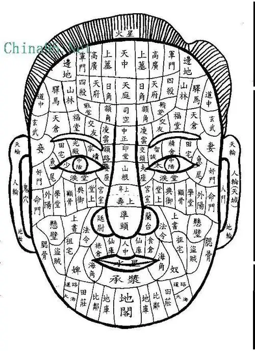 田宅宫子女宫兄弟宫怎么看我来教你