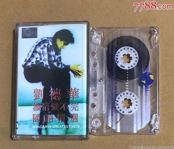 刘德华浓情爱不完国语精选印尼版