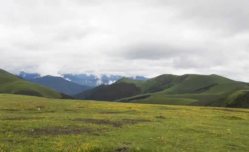 四川卡子拉山草甸景色美如画