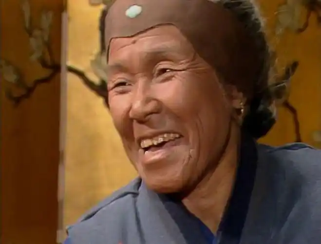 刘姥姥红楼梦中看似拙朴却深藏大智慧的人