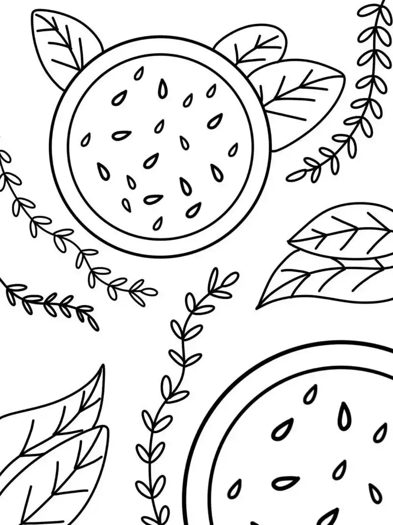 夏日西瓜91 创意画 儿童画 简笔画 线稿 #创意美术儿童画# #儿童简