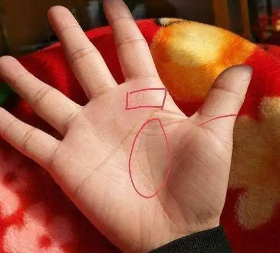 女人这种手相一婚不白头二婚晃悠悠三婚才永久