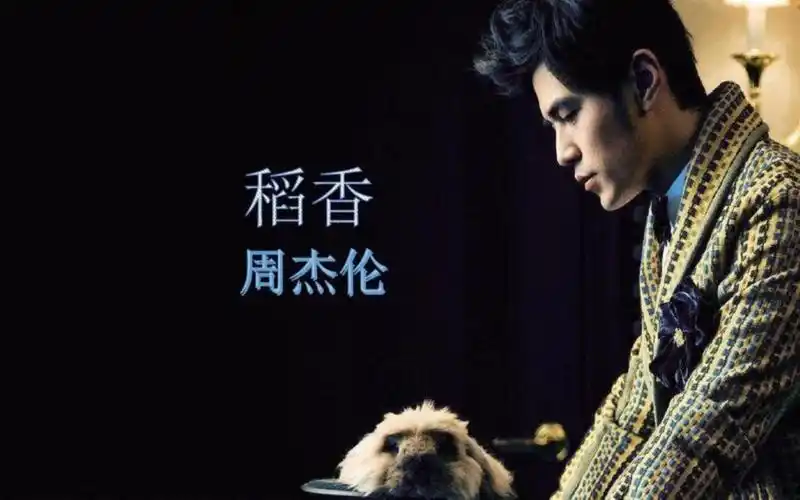 【音乐鉴赏会】周杰伦:《稻香》经典老歌推荐