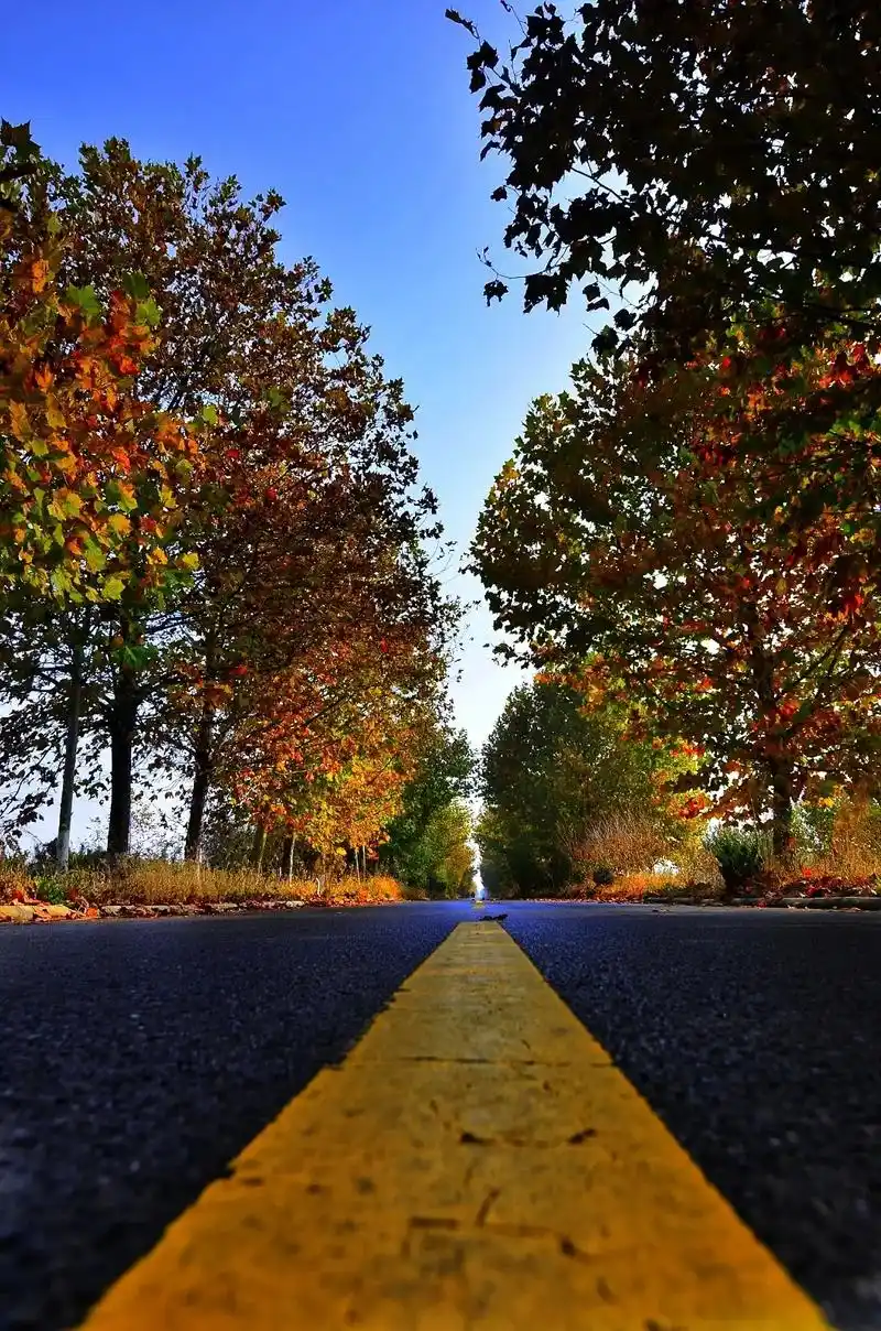 缓缓飘落的枫叶像思念,我点燃烛火温暖岁未的秋天#城市风景#第 - 抖音