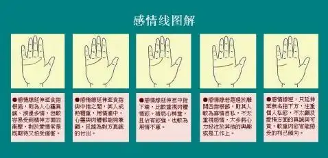 感情线也关乎生命和健康