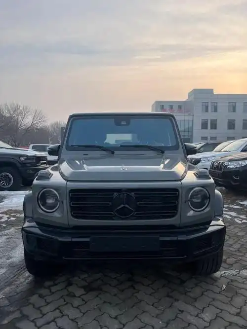 24款奔驰g50040tv8港口售价行情190万