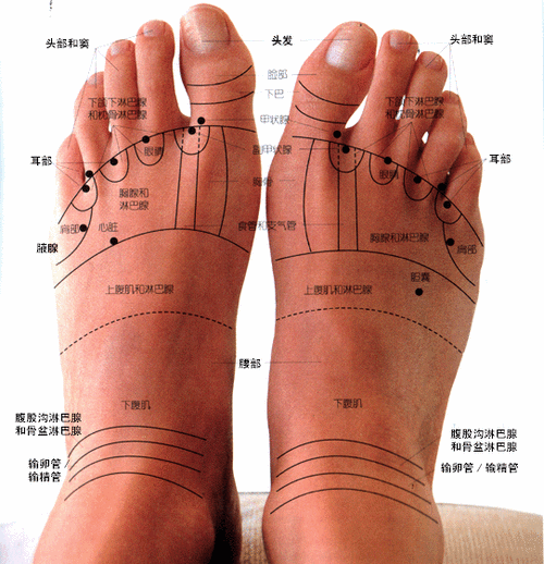 观脚知健康 10秒钟辨别15种病症 脚部的特征揭露身体的健康秘密(图)【