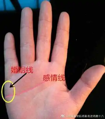 仅供参考 #起名##取名##手相# 婚姻线看左手还是右手?