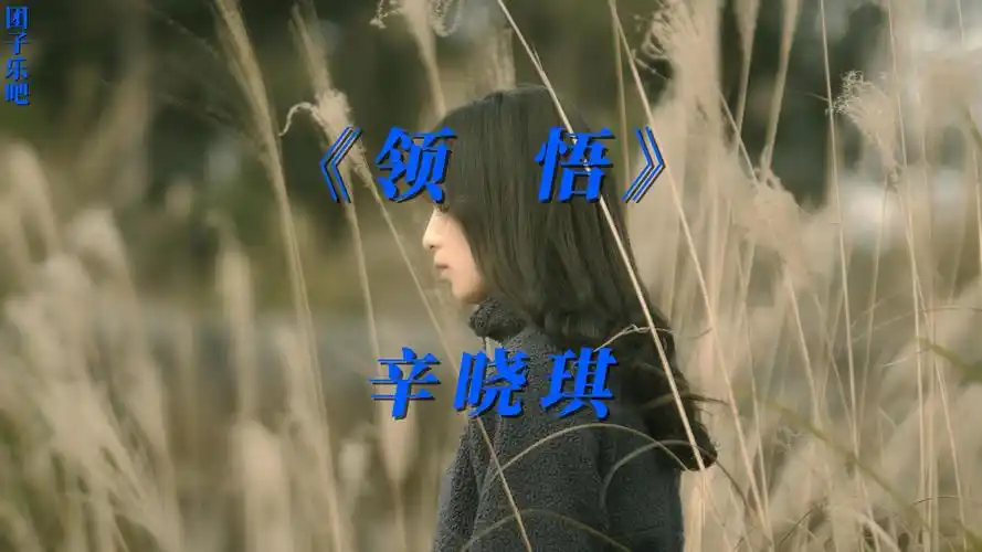 《领悟》-辛晓琪