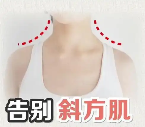 练肩不练斜方肌 斜方肌可以练成直角肩吗?-图片大观-奇异网