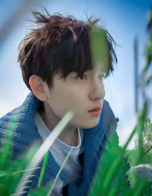 哇 胡先煦真的好绝了,这组写真也太帅了,夏日,草地,微风