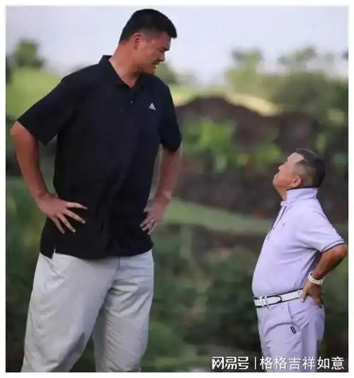 名气大,演技好,个子矮,身高真的不重要了|演员|娱乐圈|刘德华|女明星