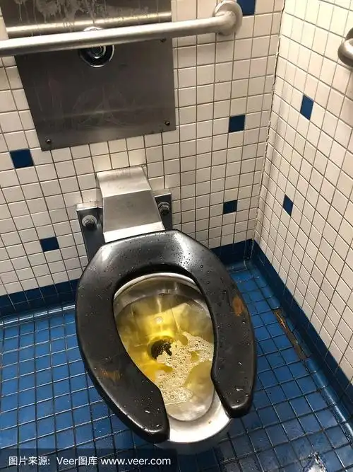 恶心的公共厕所