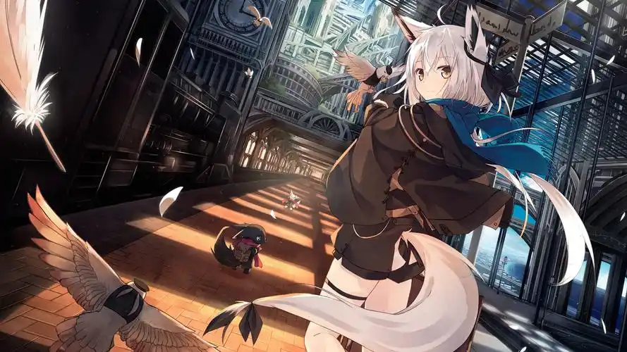 上次4k级电脑桌面壁纸反映不错这次分享一波超2k级电脑桌面壁纸