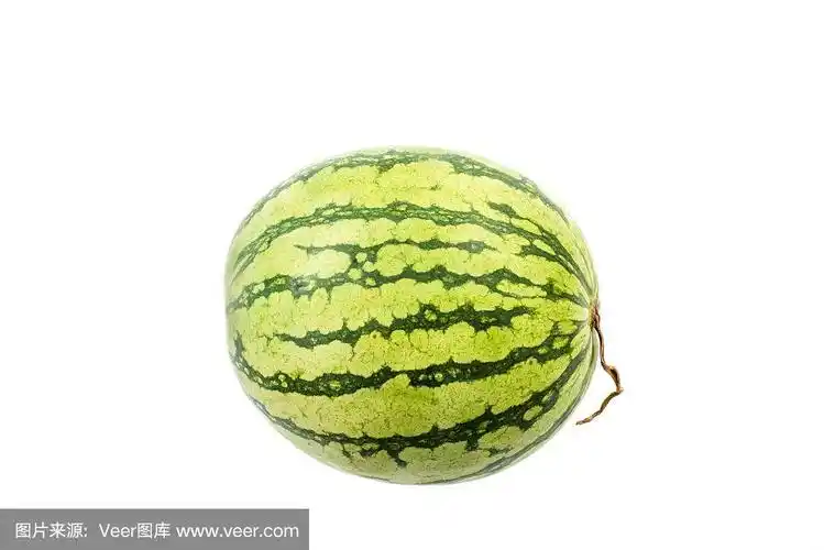 西瓜的白色.
