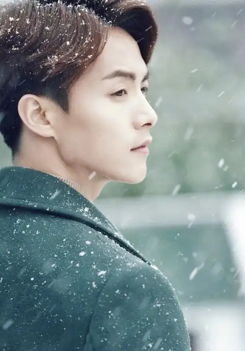 马天宇秀完美容颜 雪地写真变帅气雪王子,清冷脱俗的颜值太服