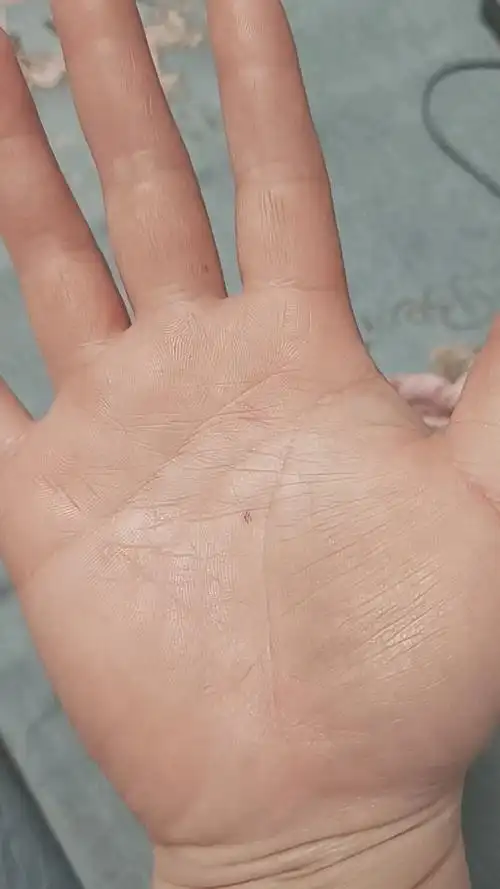 女右手心有颗痣哪位大仙会看