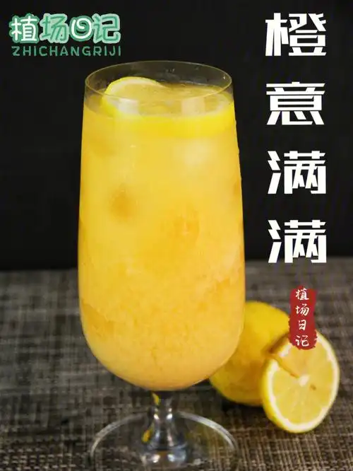 满杯橙橙元气满满