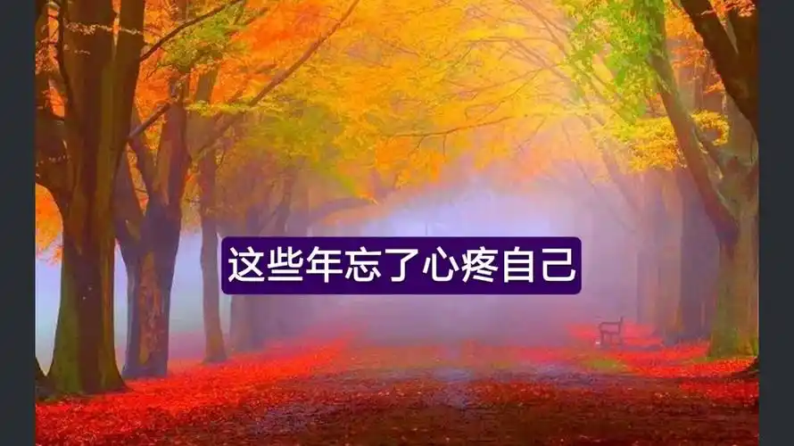 这些年忘了心疼自己