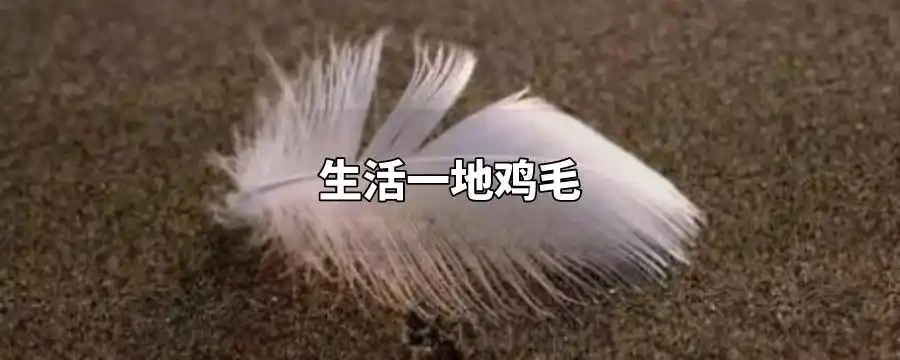 满地鸡毛的生活呀,你我都是