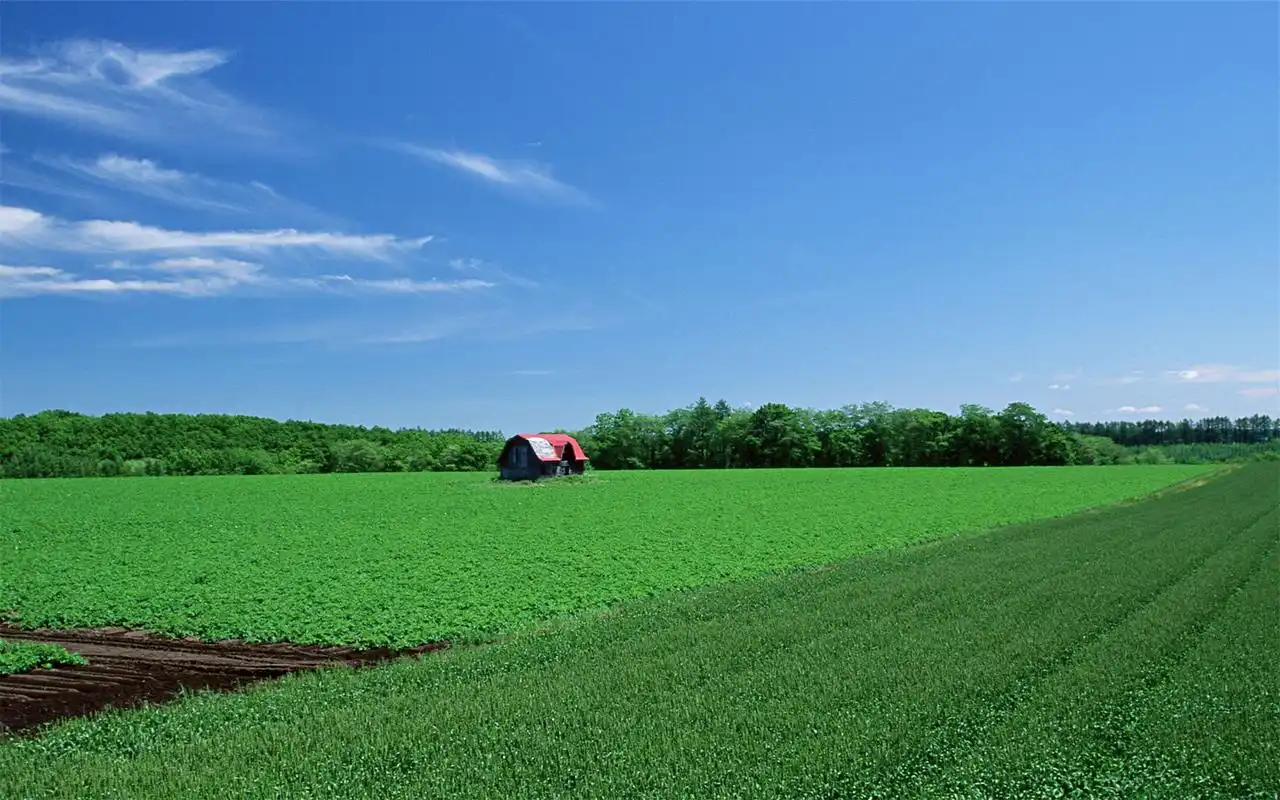 清新大草原蓝天白云秋高气爽绿色护眼桌面壁纸(二)