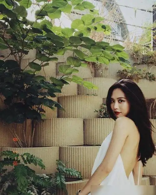 跟孙坚恋爱,被王阳明欣赏,穿1万5裙子的王霏霏也是隐形富婆!