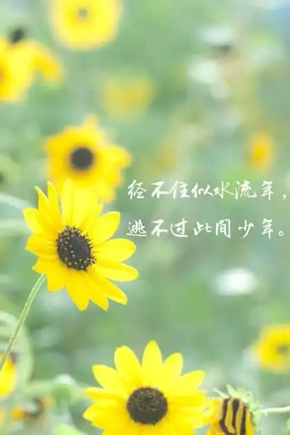 小清新文字背景壁纸