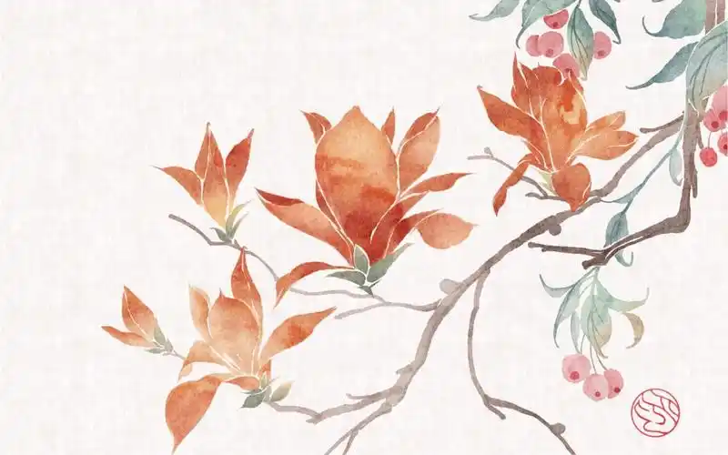 ipad古风花卉 | 玉兰绘画过程