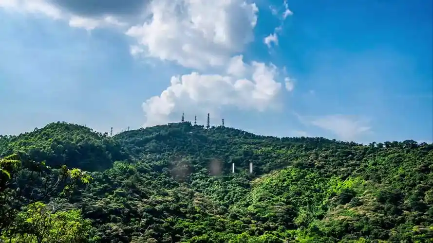 黄山鲁森林公园