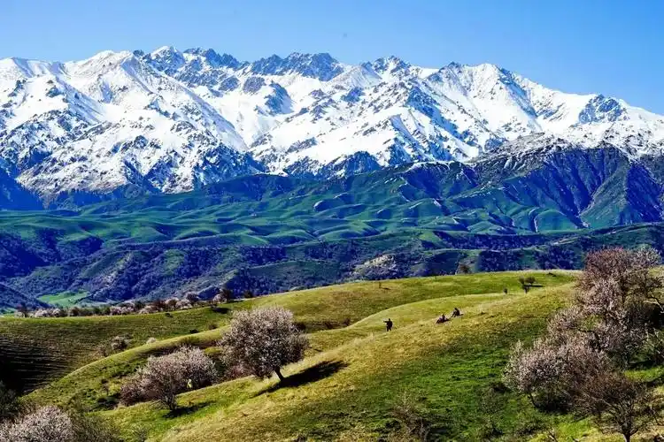 的想法: 新疆霍城县中华福寿山,天山脚下的春色 | 中华福寿山位于伊犁