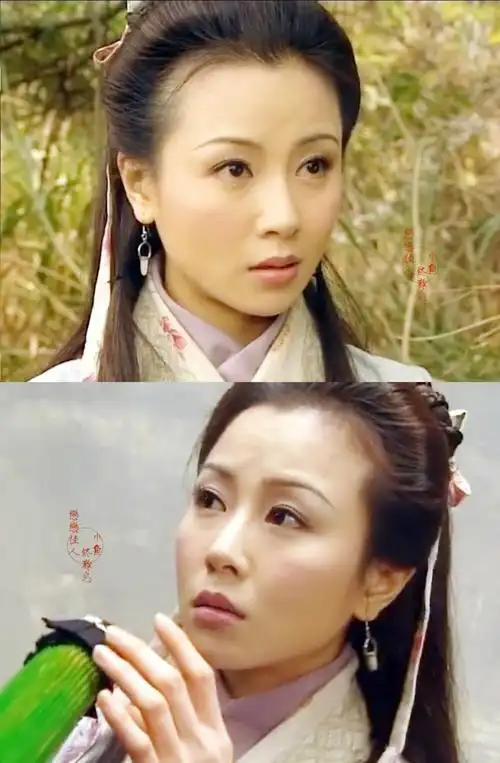 袁洁莹人龙传说