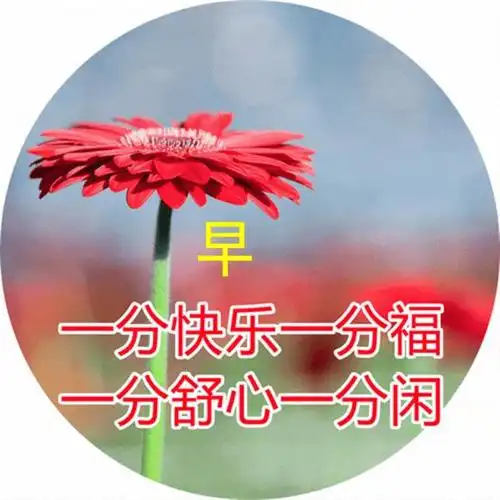 美好暖心的早安正能量问候句子最美冬季问候早上好的图片带字