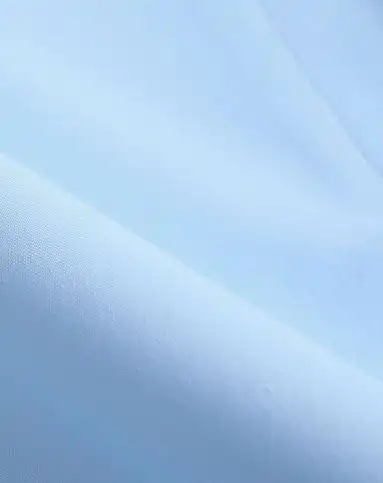 浅蓝色通勤素雅短裤