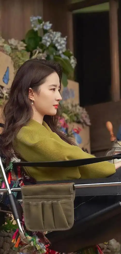 刘亦菲精美图集