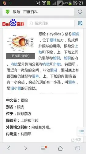 jian 回答 三声 追问 眼睑是什么? 回答 眼皮