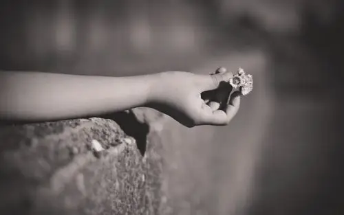 黑白天使,手,雏菊,花朵,唯美,意境,寂寞,伤感,心情每日精品壁纸推片