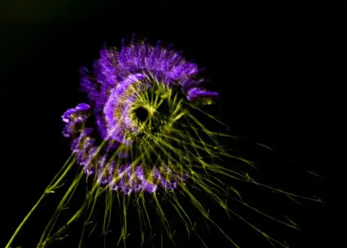 多重曝光----拍花