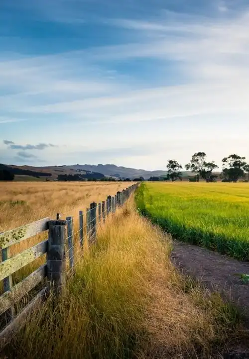 从来都不是因为我们不好,才遇见不好的事,那只是沿路的风景之一.