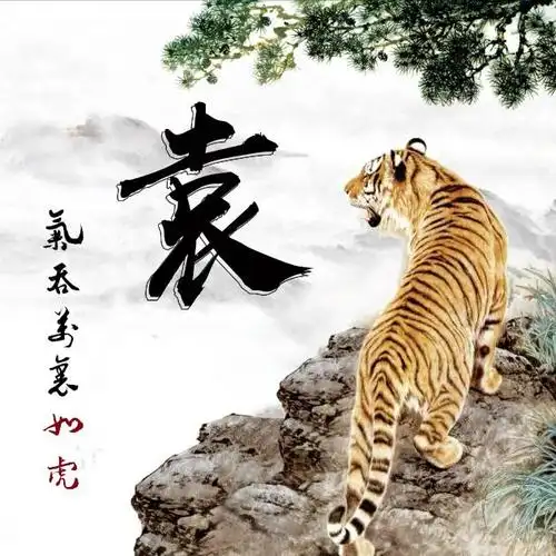 拿这些老虎做微信头像,写有你的姓氏,霸气外显!