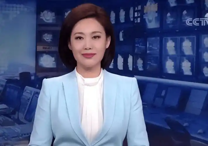 自2002年以来一直在央视任职,曾担任《新闻联播》,《朝闻天下》等多个