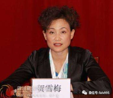 男市长和女副书记通奸副县长老公自杀现年50岁的贺雪梅,2002年后历任