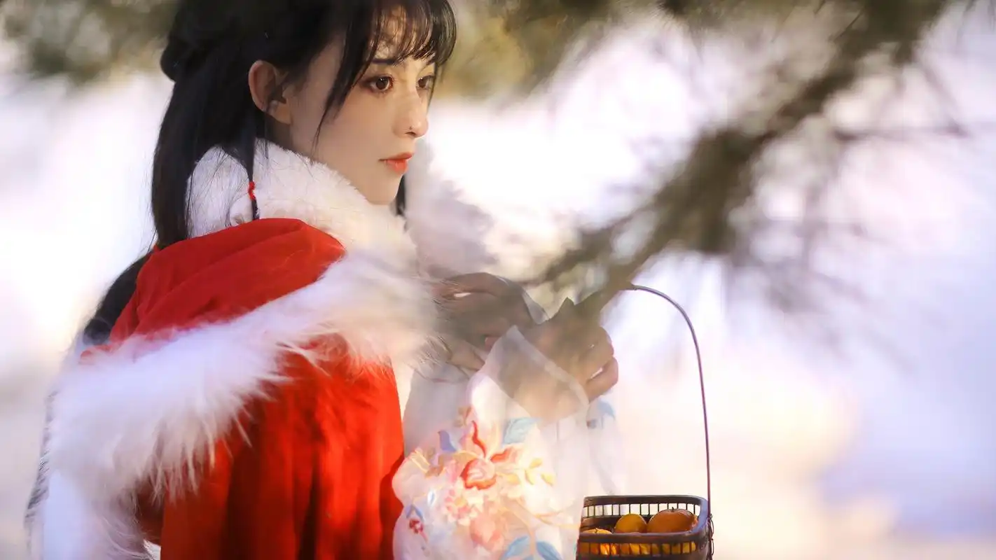 古装美女清纯高清桌面壁纸壁纸1