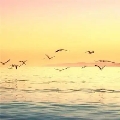 男人好运风景微信头像 以时光为眸