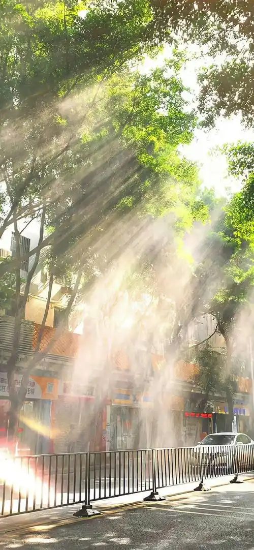 4k超清手机壁纸丨锁屏壁纸聊天背景图