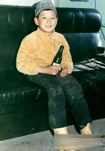 内地实力派小生佟大为家庭背景揭秘