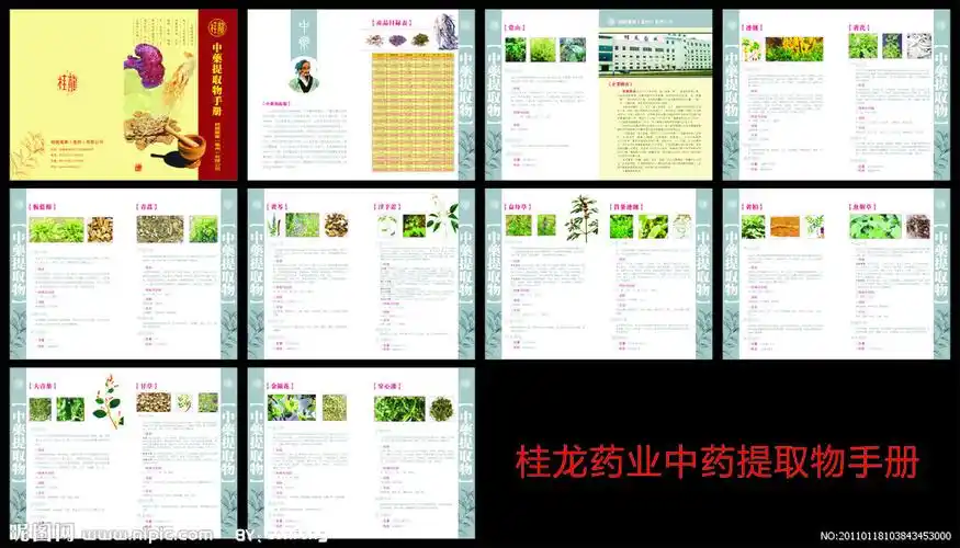 桂龙药业画册设计图__画册设计_广告设计_设计图库_昵图网nipic.com