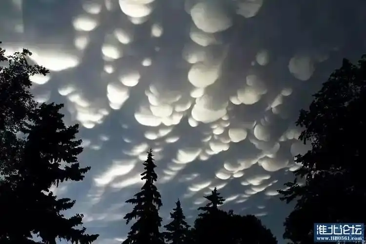 八号桥菜市场西门臭气熏天鸡毛乱飞没法住人有人管没