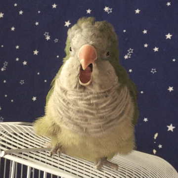 360_360gif 动态图 动图