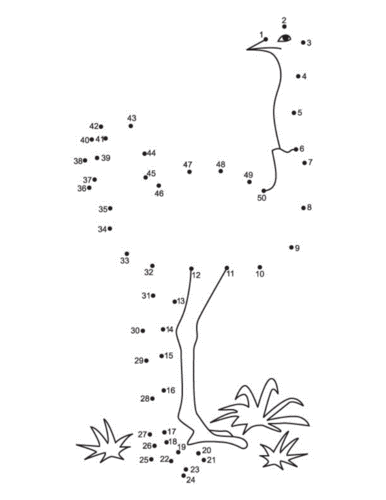 √点连线动物连线.pdf