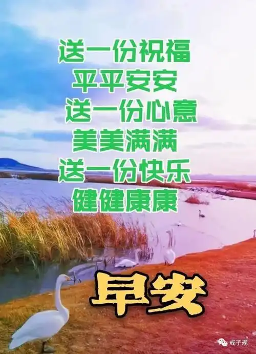 23张漂亮的早安图片,问候朋友早上好的唯美祝福图